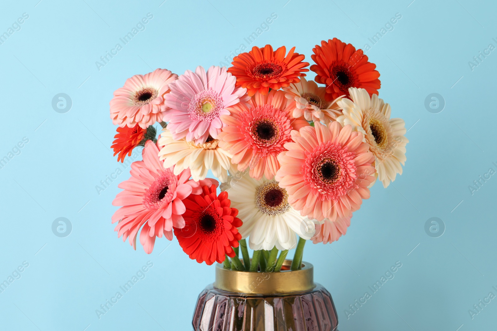 Photo of Bouquet of beautiful colorful gerbera flowers in vase on light blue background