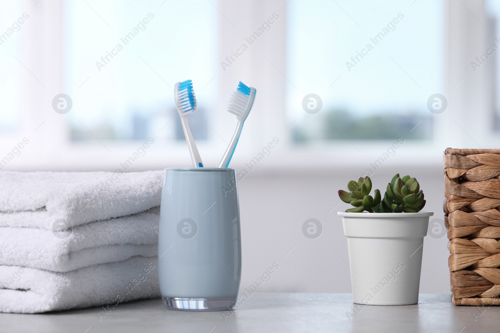 Photo of Plastic toothbrushes in holder, houseplant and towels on light grey table indoors