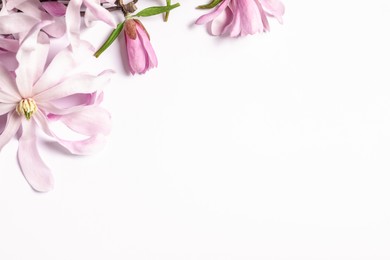 Photo of Beautiful magnolia flowers on white background, top view