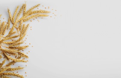 Many ears of wheat and grains on white background, flat lay. Space for text
