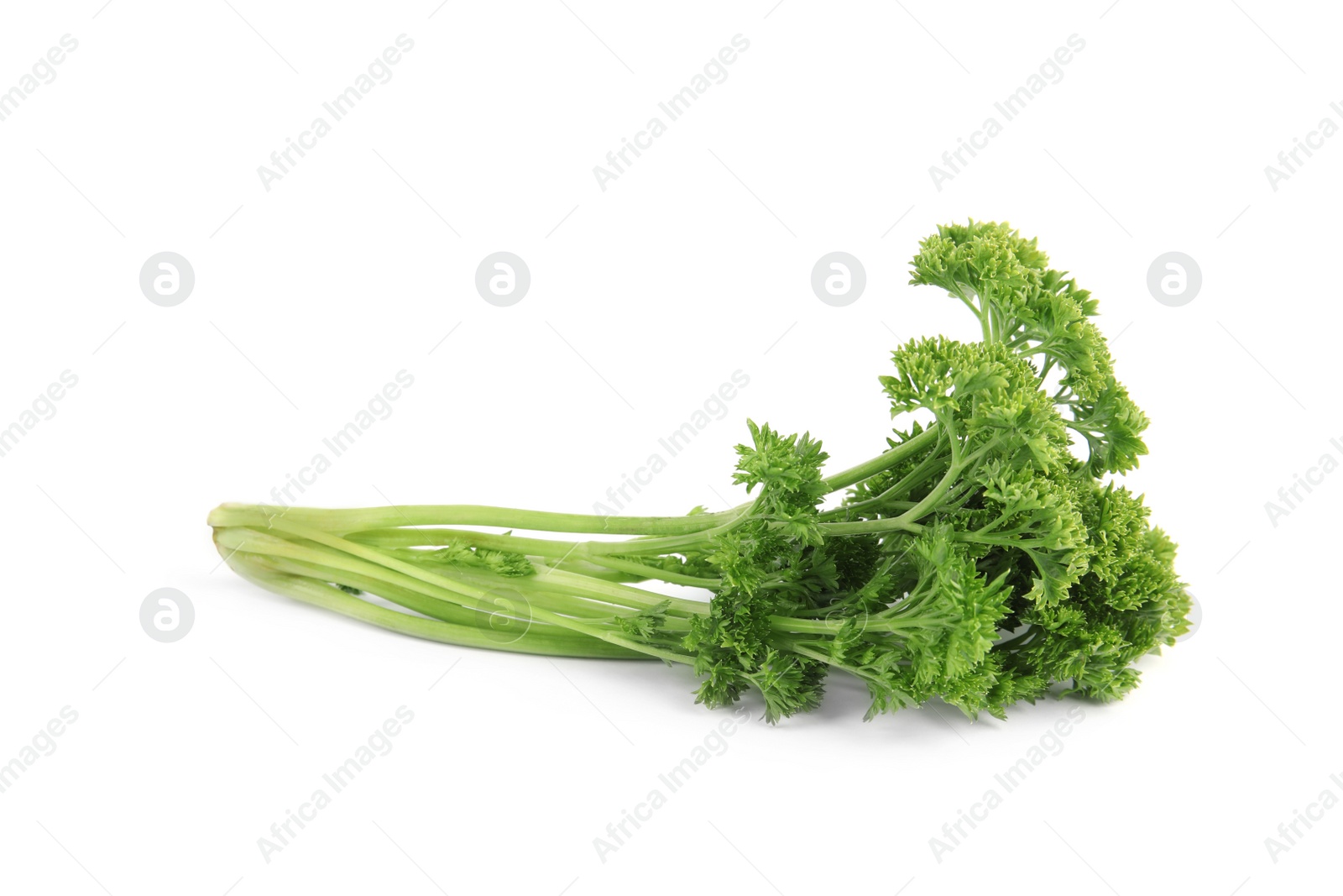 Photo of Fresh green organic parsley on white background