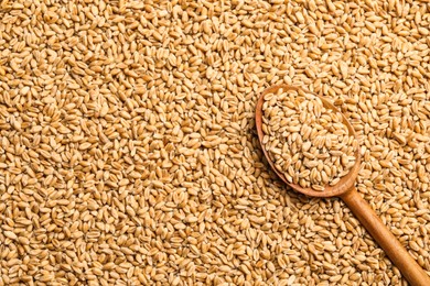 Photo of Spoon on heap of wheat grains, top view. Space for text