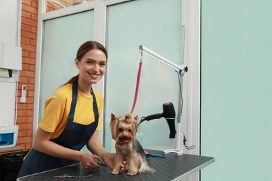 Photo of Professional groomer giving stylish haircut to cute dog in pet beauty salon