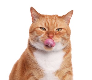 Photo of Cute cat licking itself on white background