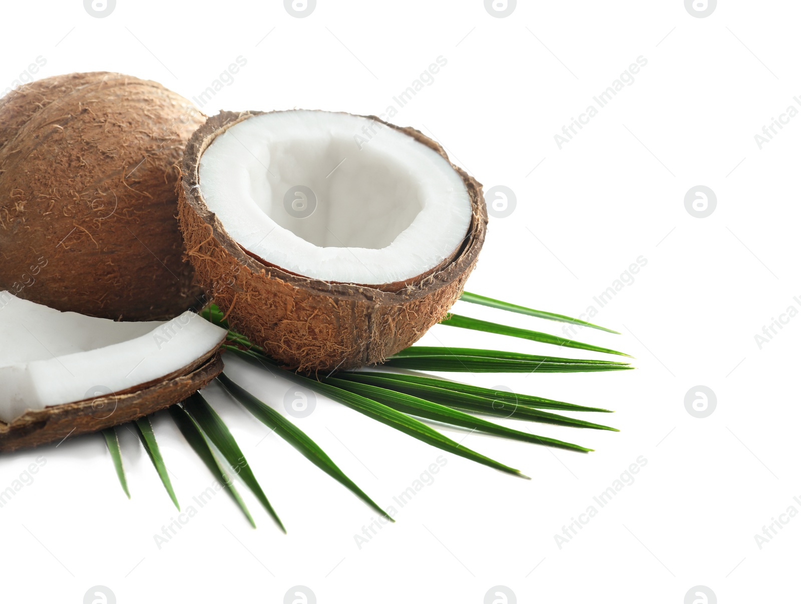 Photo of Ripe coconuts on white background