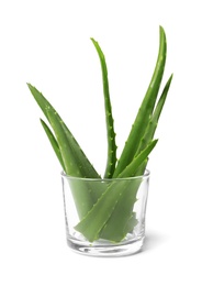 Photo of Glass with aloe vera leaves on white background