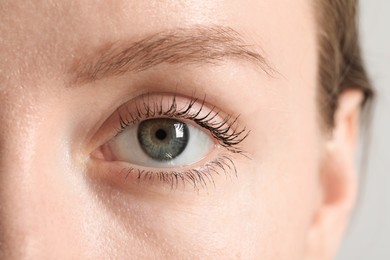 Macro photo of woman with beautiful eyes