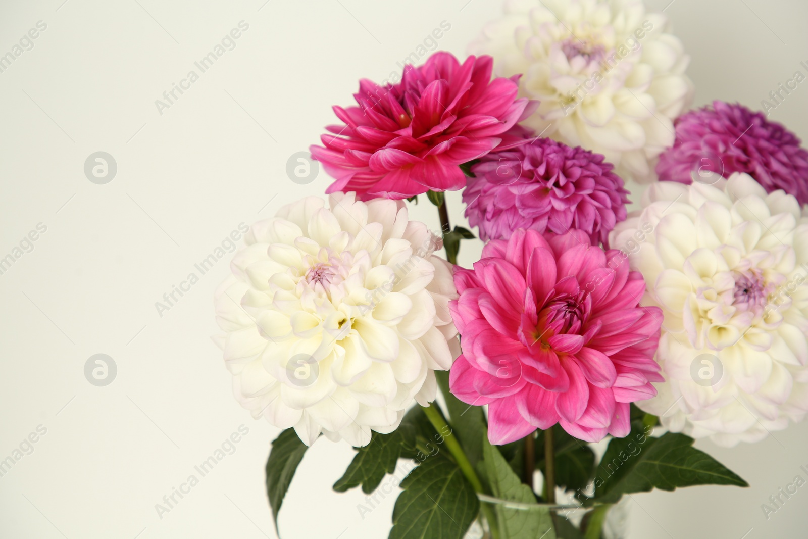 Photo of Bouquet of beautiful Dahlia flowers near white wall, closeup