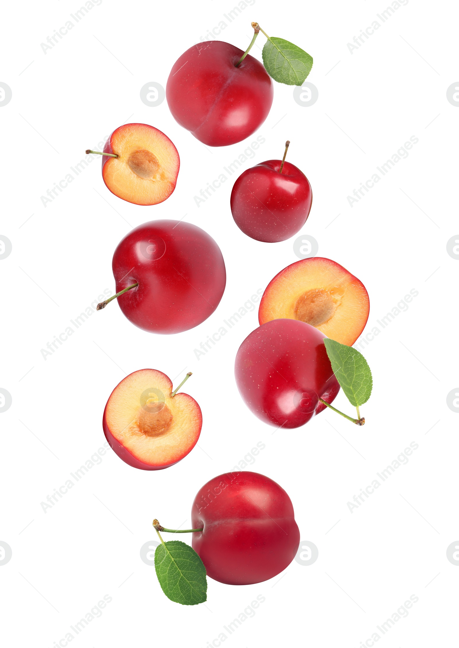 Image of Delicious ripe cherry plums with leaves falling isolated on white
