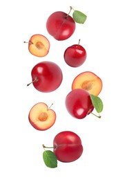 Image of Delicious ripe cherry plums with leaves falling isolated on white