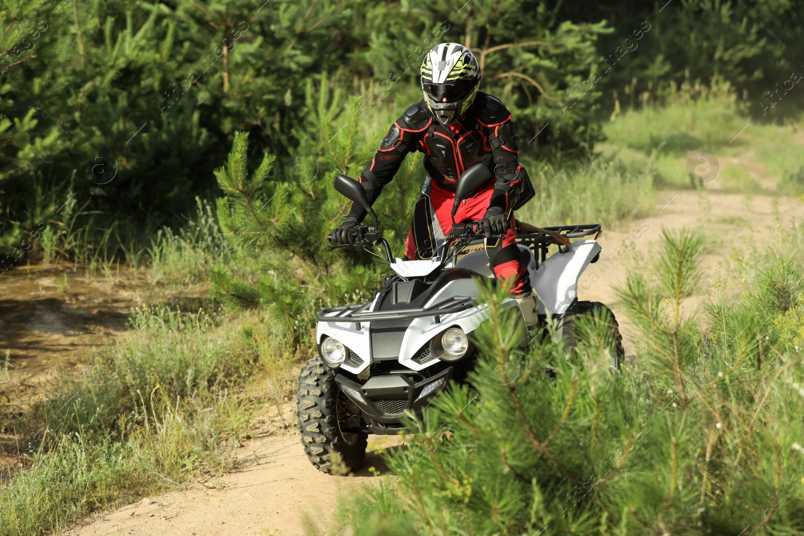 Photo of Man driving modern quad bike on sandy road near forest. Extreme sport