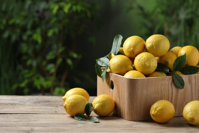 Fresh lemons in crate on wooden table. Space for text