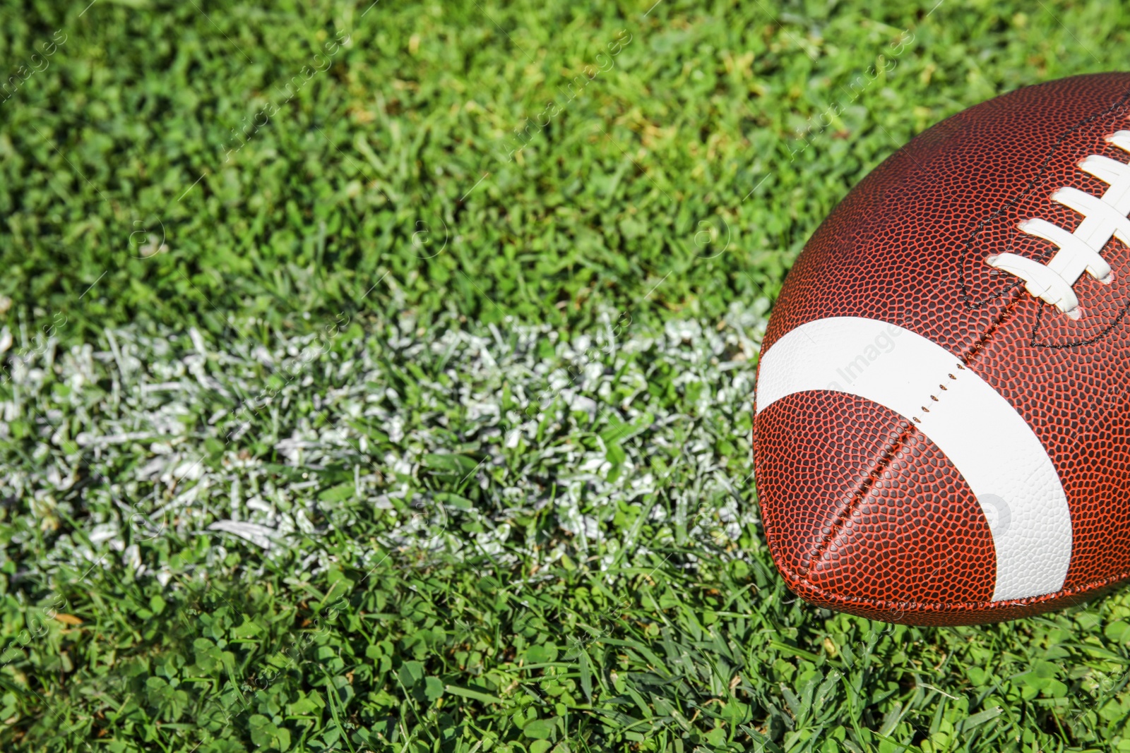 Photo of Ball for American football on fresh green field grass. Space for text