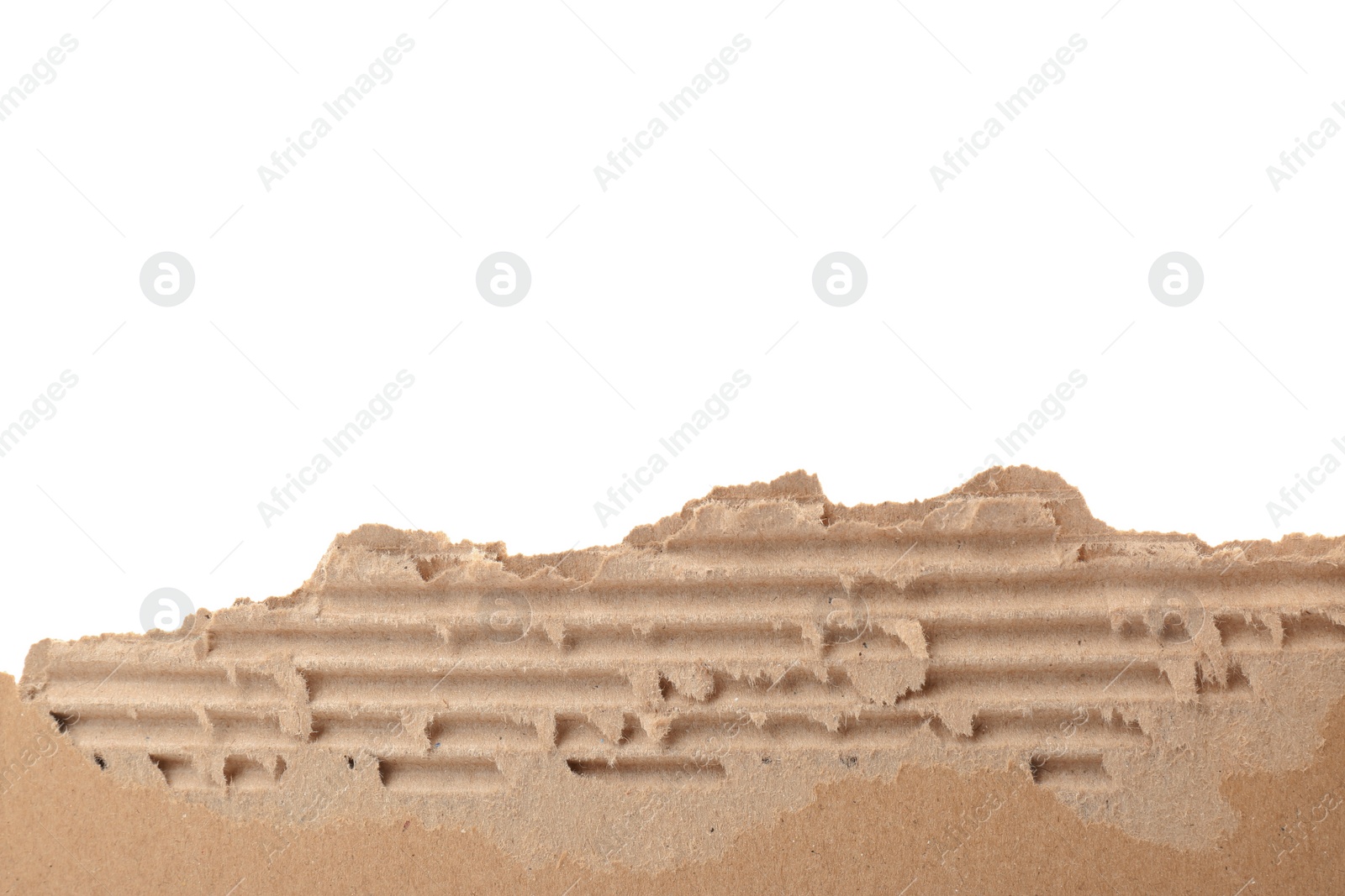 Photo of Torn cardboard on white background. Recyclable material