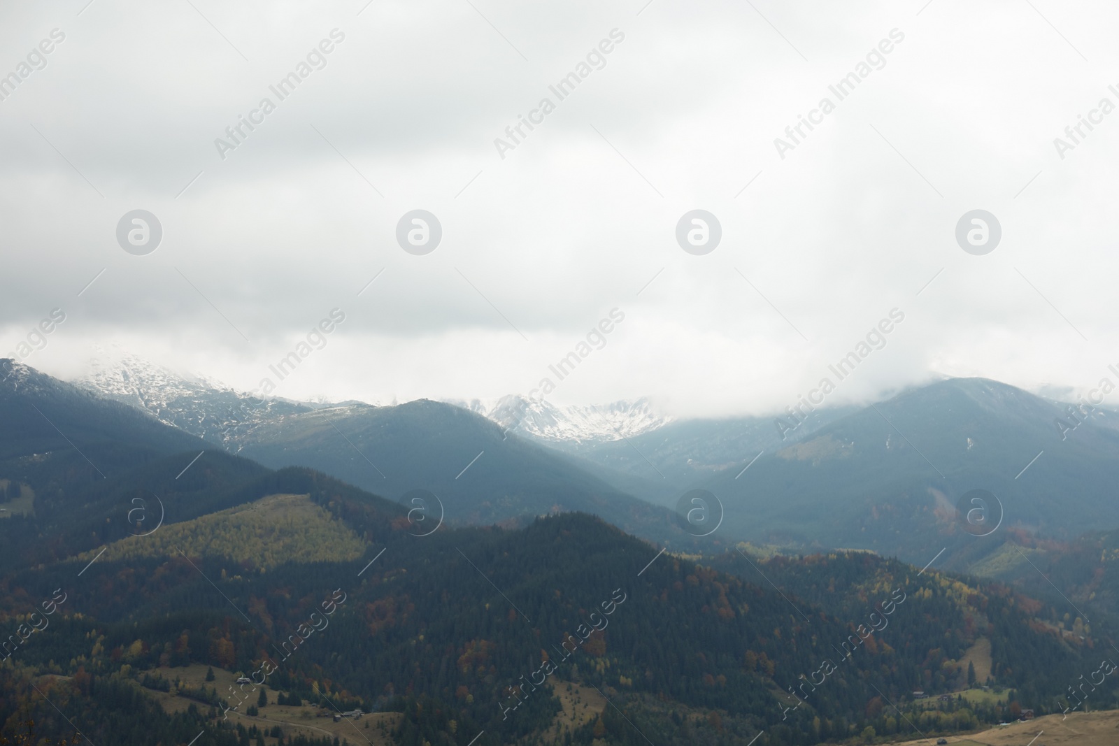 Photo of Picturesque view of beautiful mountains with conifer forest