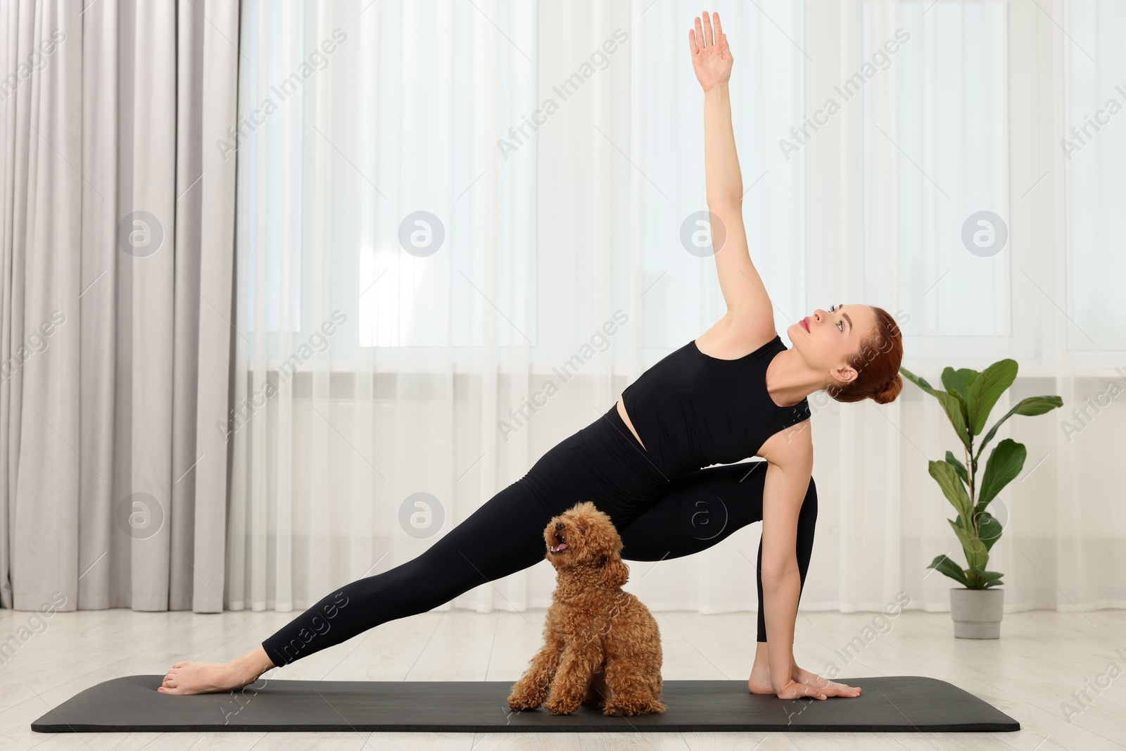 Photo of Young woman practicing yoga on mat with her cute dog indoors