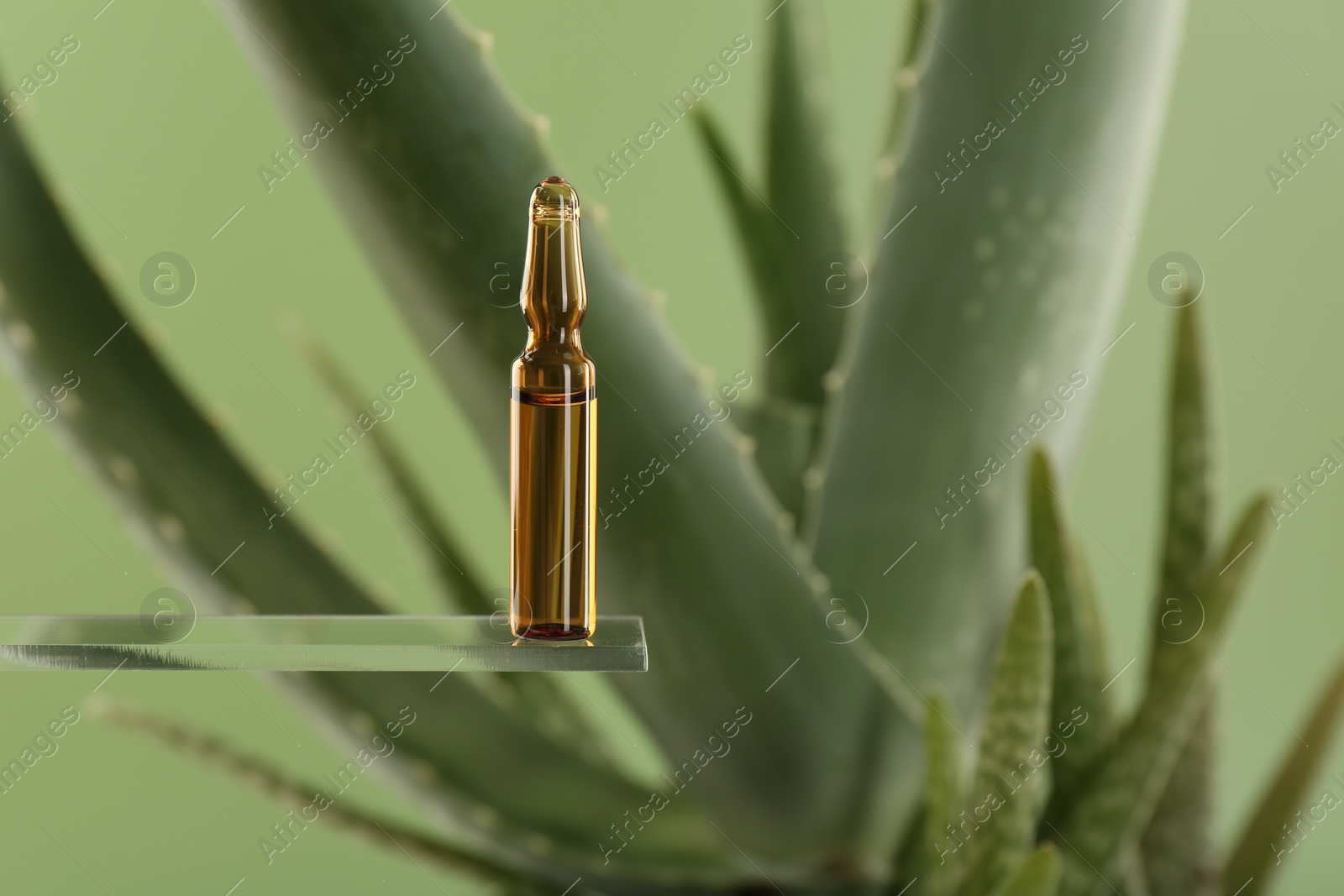 Photo of Skincare ampoule near aloe vera on light green background, closeup