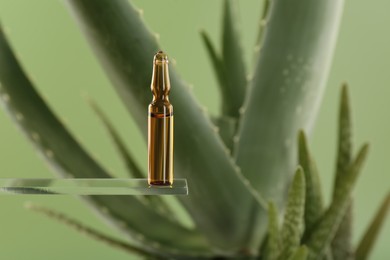 Skincare ampoule near aloe vera on light green background, closeup