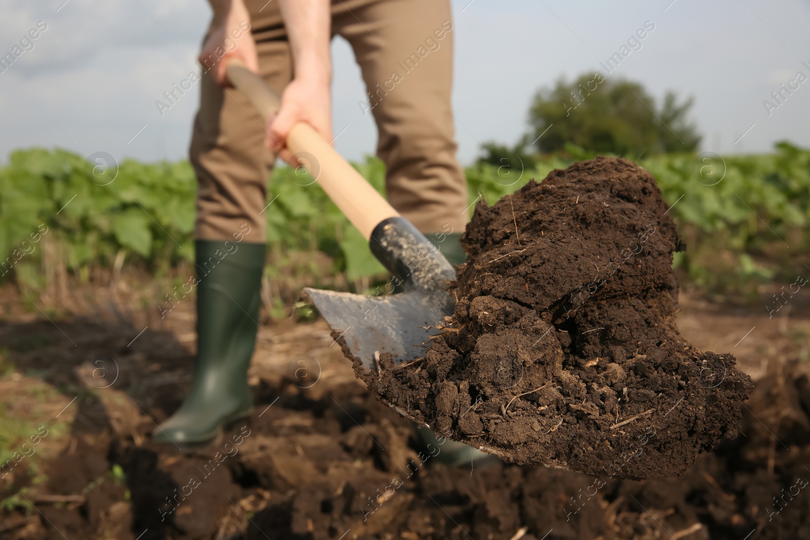 Photo of Worker digging soil with shovel outdoors, closeup