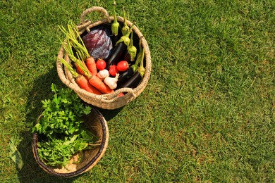 Photo of Different tasty vegetables and herbs in wicker baskets on green grass outdoors, top view. Space for text