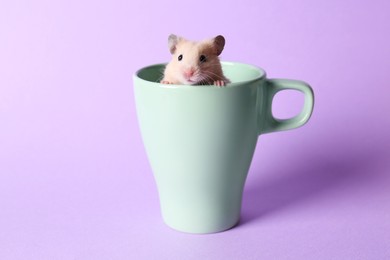 Photo of Cute little hamster in ceramic cup on violet background