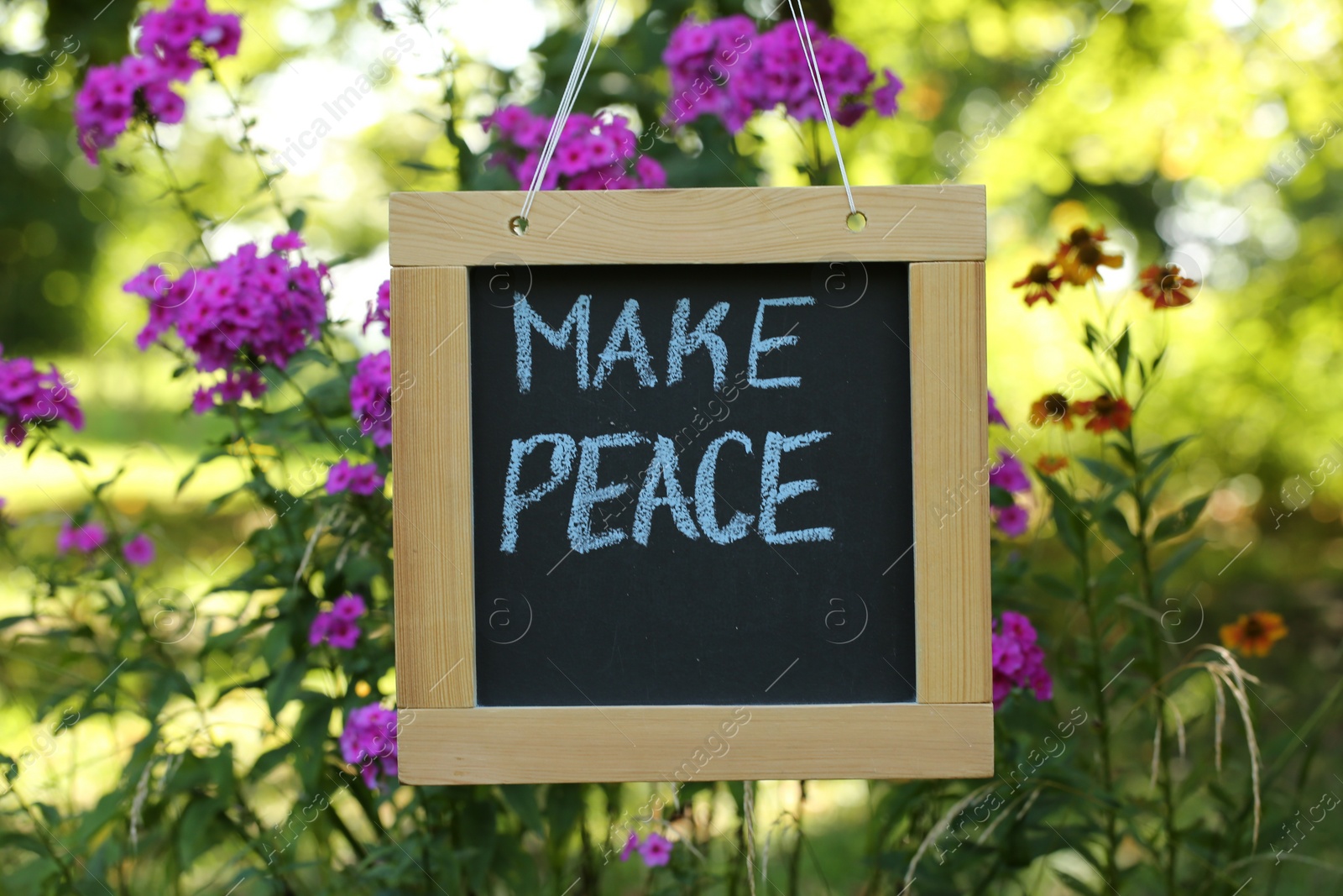 Photo of Chalkboard with phrase Make Peace near phlox flowers outdoors