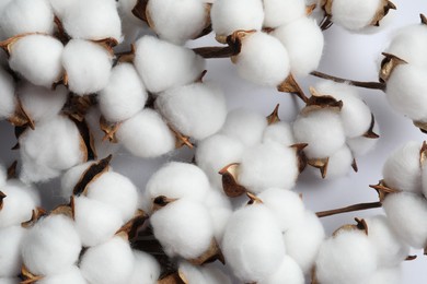 Photo of Fluffy cotton flowers on white background, flat lay