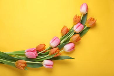 Beautiful tulips on yellow background, flat lay