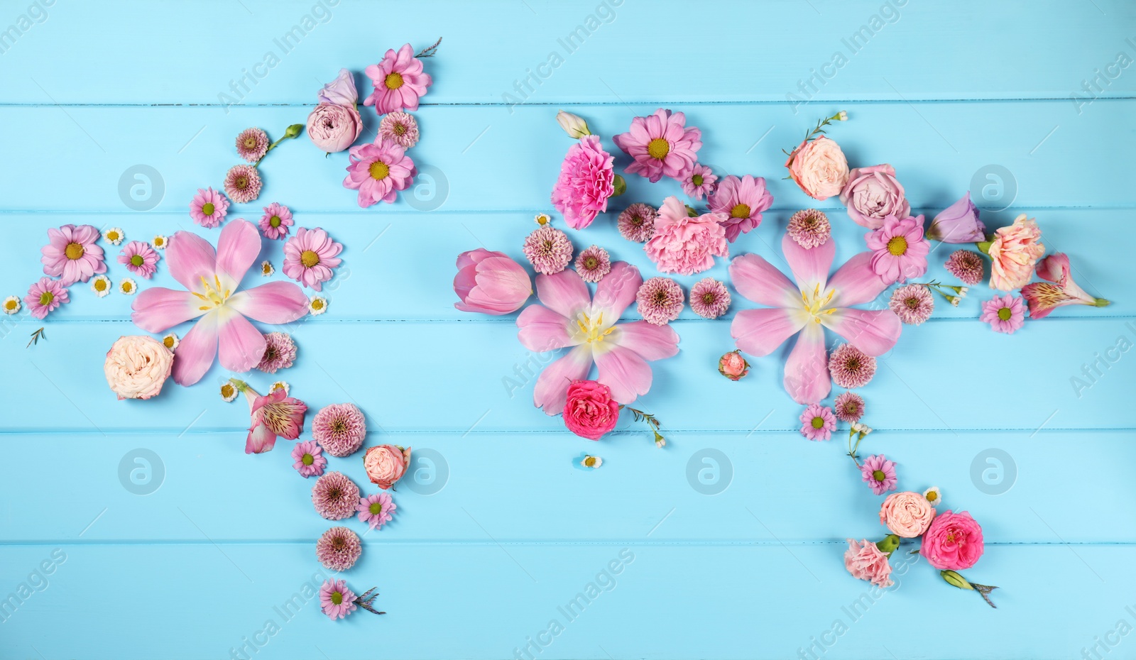Photo of World map made of different beautiful flowers on light blue wooden table, flat lay
