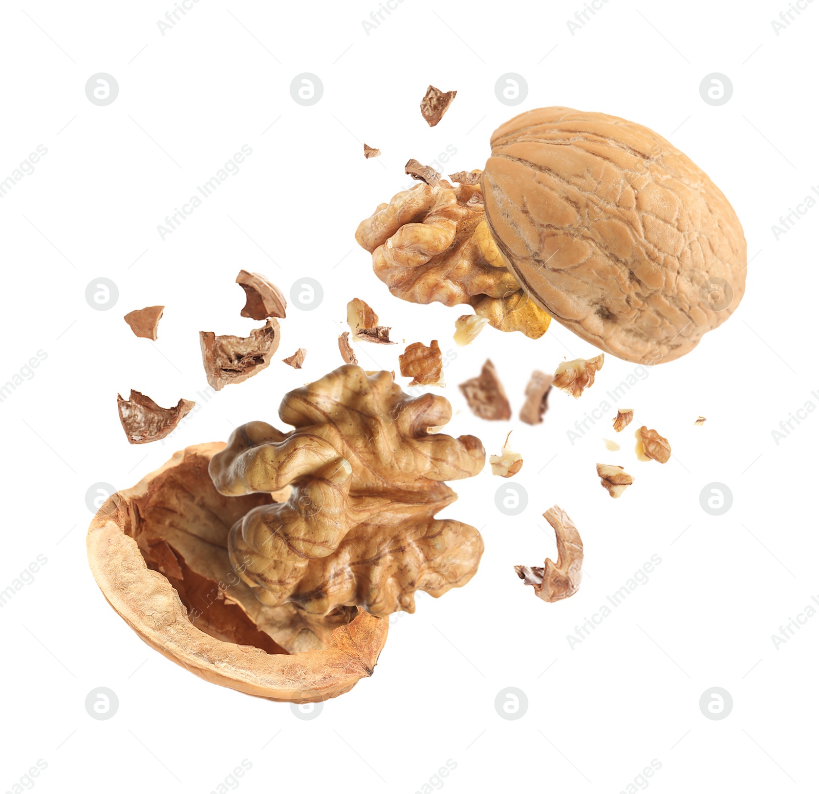 Image of Broken walnut and pieces of shell flying on white background