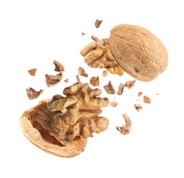 Image of Broken walnut and pieces of shell flying on white background