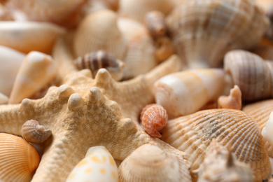 Photo of Starfish and beautiful seashells as background, closeup view