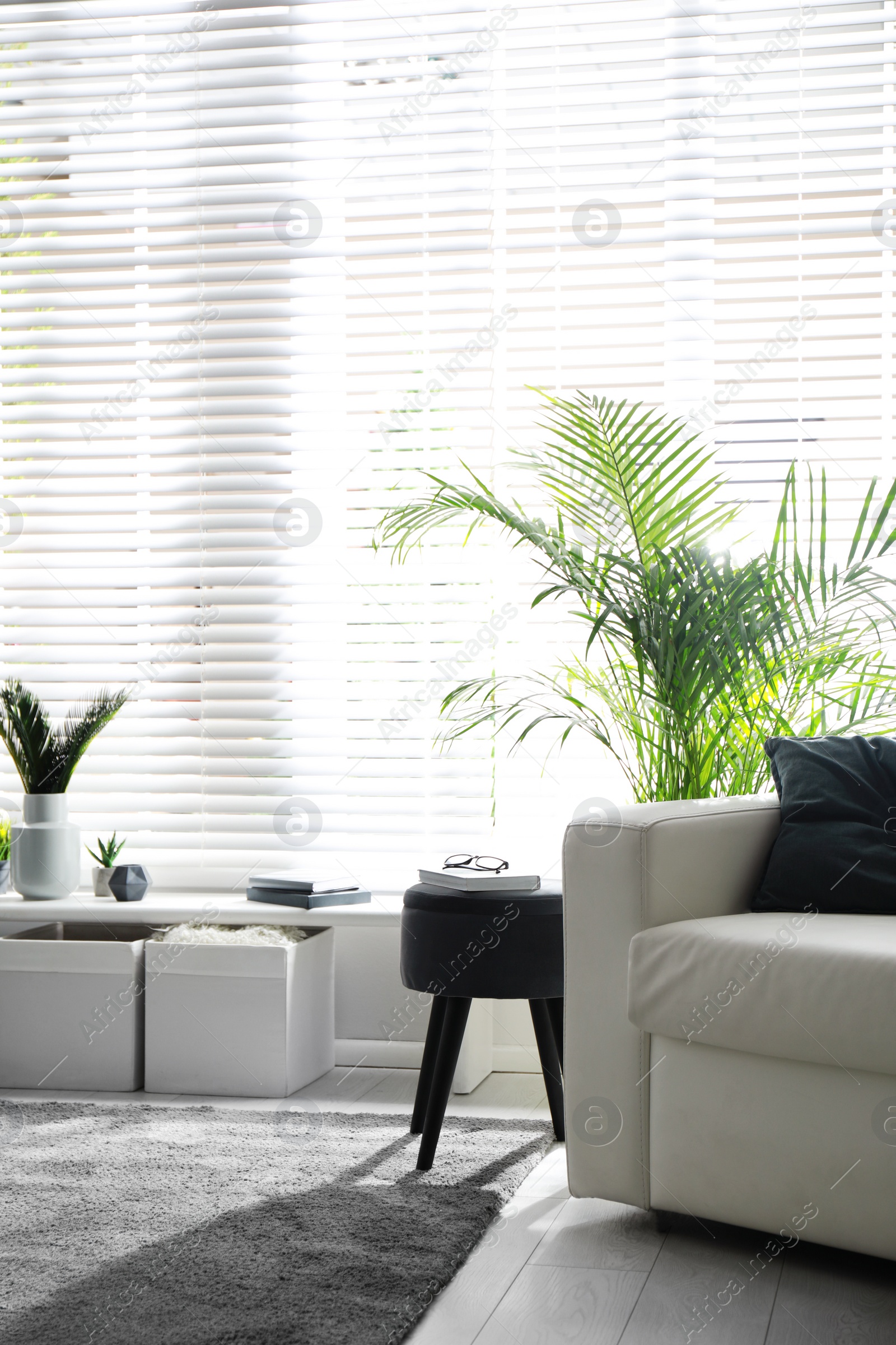 Photo of Beautiful tropical plants with lush leaves in stylish living room interior