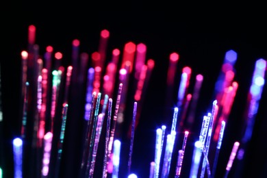 Optical fiber strands transmitting different color lights on black background, macro view