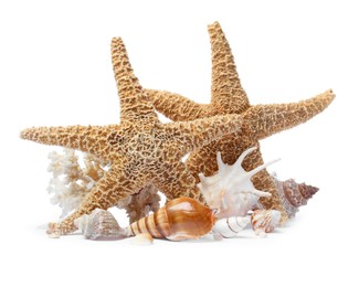 Photo of Beautiful sea stars and seashells on white background