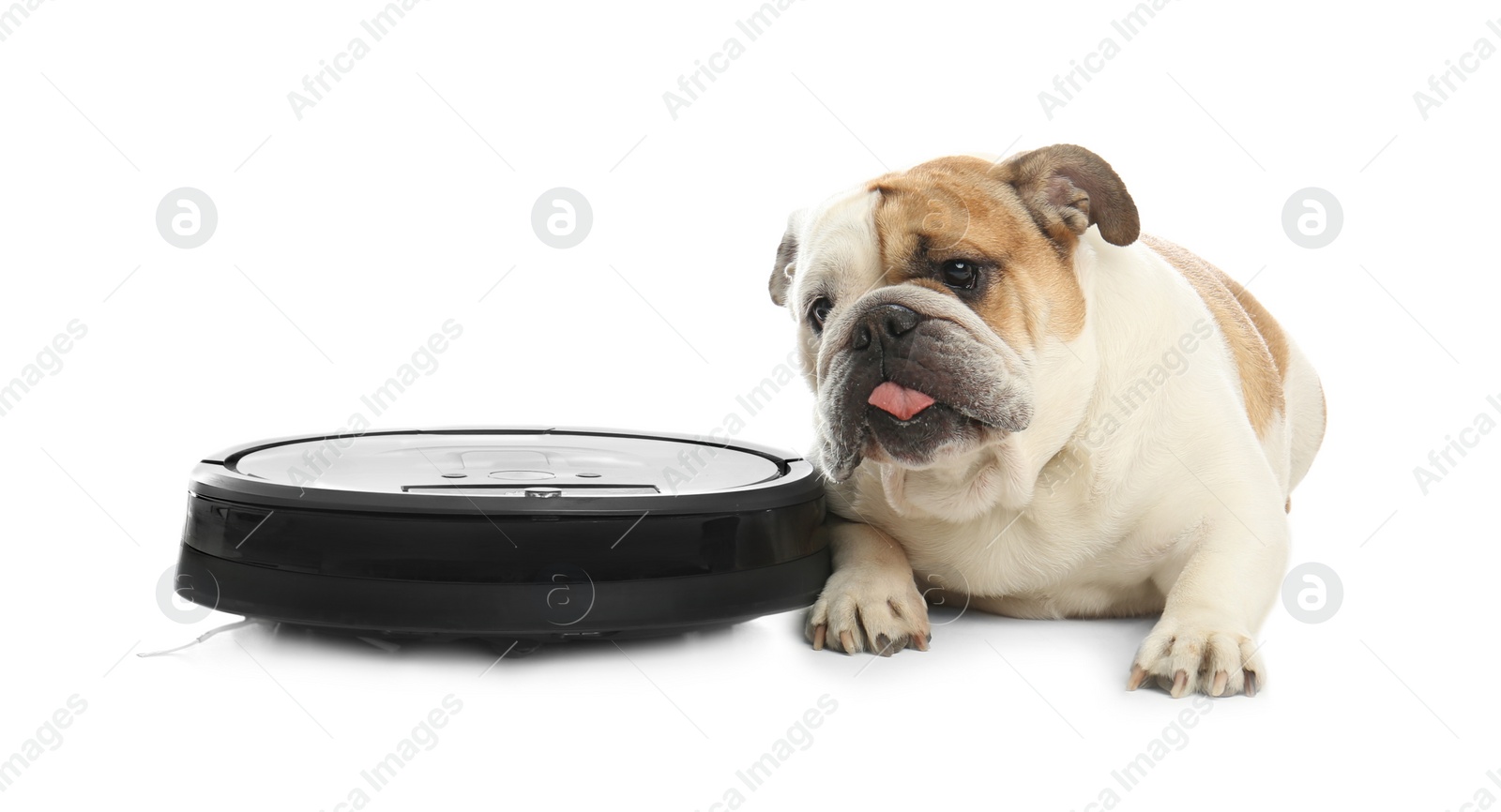 Photo of Robotic vacuum cleaner and adorable dog on white background