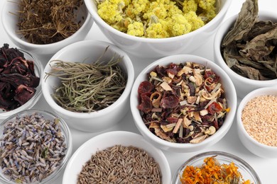 Photo of Many different dry herbs and flowers in bowls on white background
