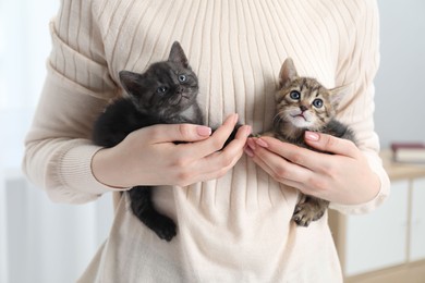 Woman with cute fluffy kittens indoors, closeup