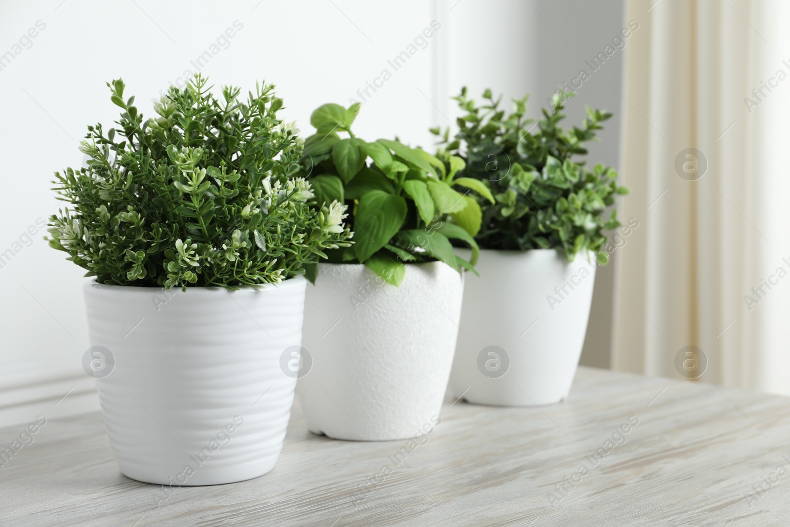 Photo of Different aromatic potted herbs on white wooden table indoors, space for text