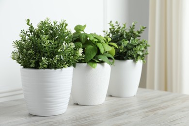 Photo of Different aromatic potted herbs on white wooden table indoors, space for text
