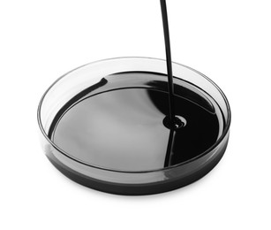 Photo of Pouring black crude oil into Petri dish on white background