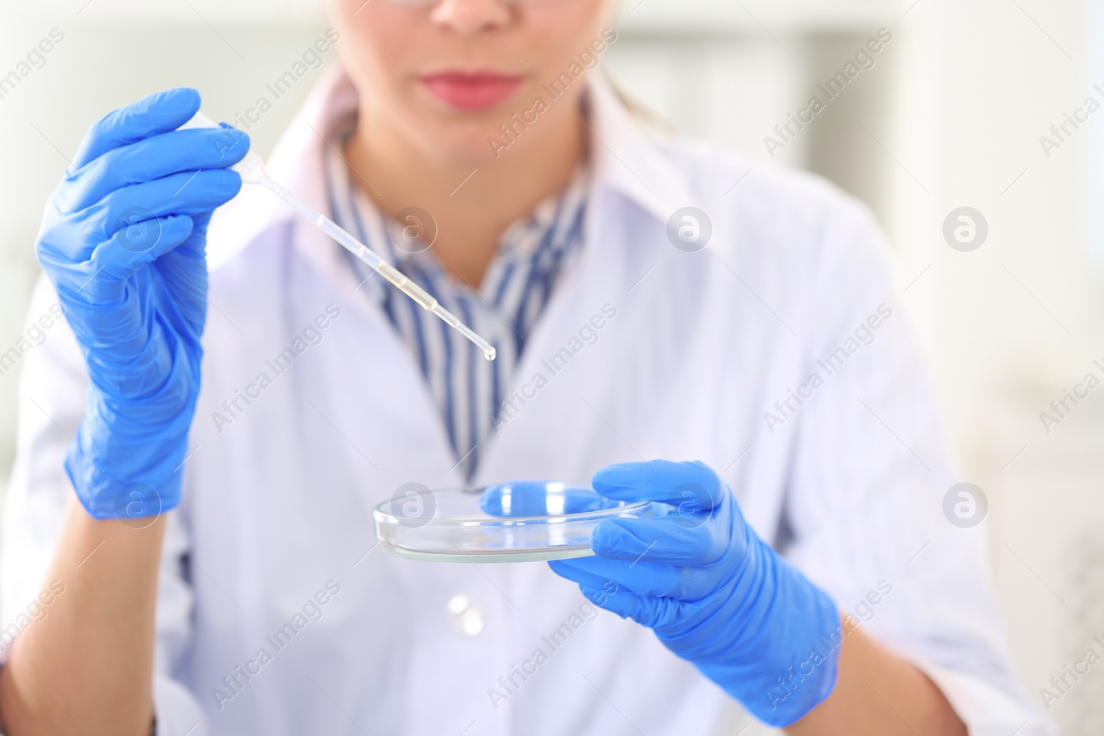 Photo of Scientist working in laboratory, closeup. Research and analysis