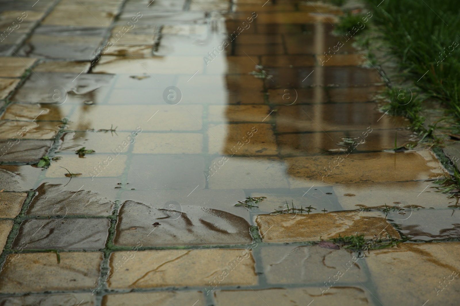 Photo of Puddle after rain on street tiles outdoors, closeup