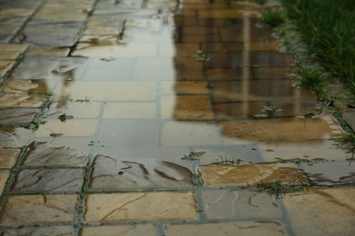 Puddle after rain on street tiles outdoors, closeup