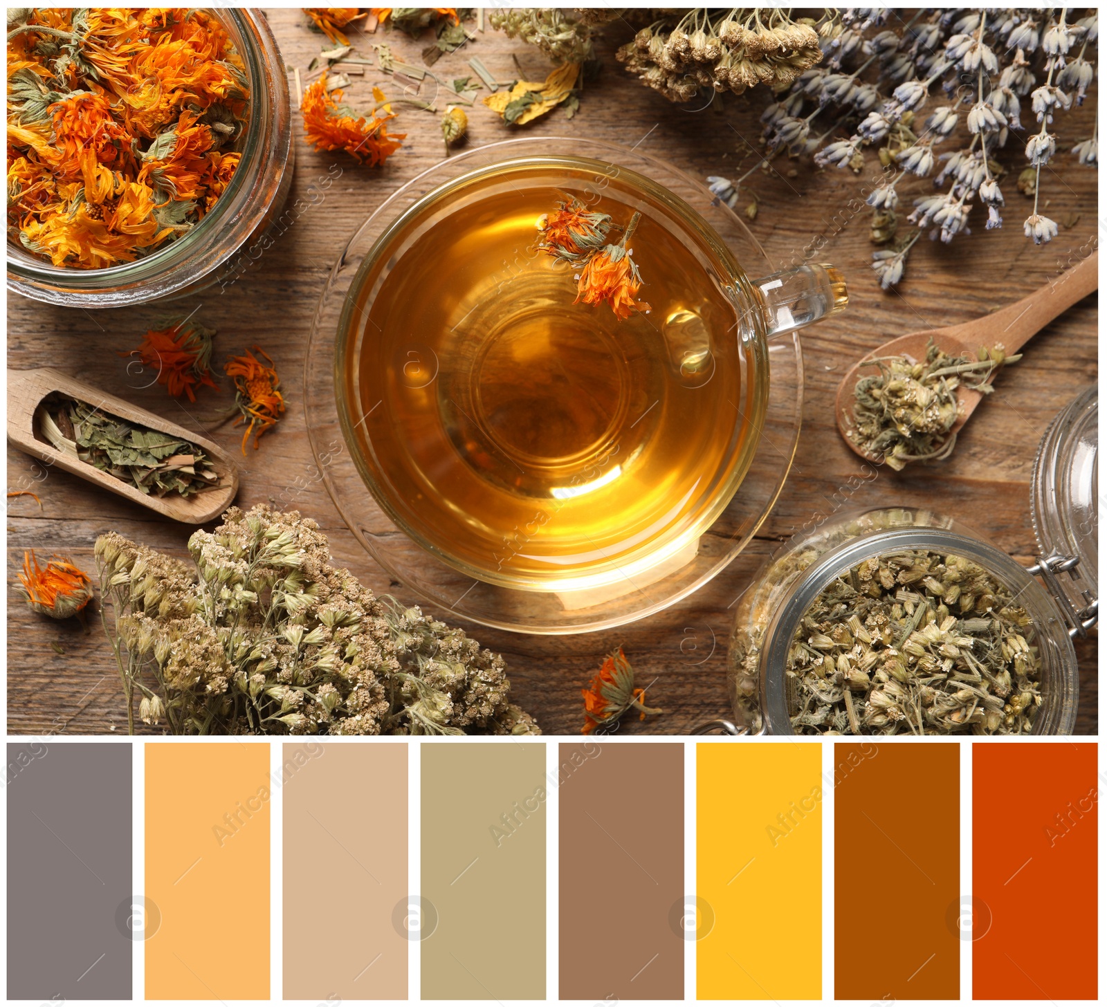 Image of Flat lay composition with freshly brewed tea and dried herbs on wooden table and color palette. Collage
