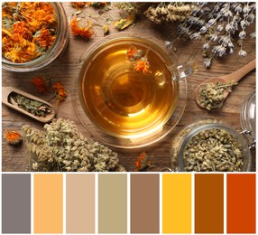 Image of Flat lay composition with freshly brewed tea and dried herbs on wooden table and color palette. Collage