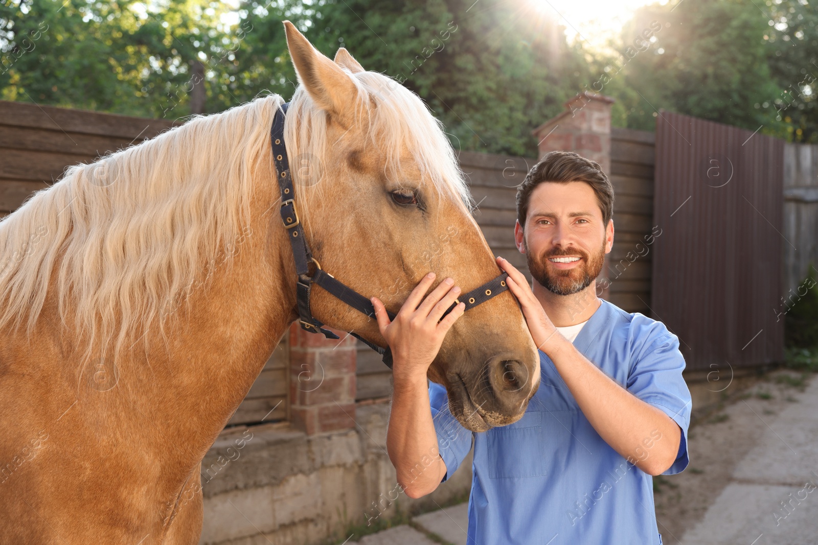 Photo of Veterinarian with adorable horse outdoors. Pet care