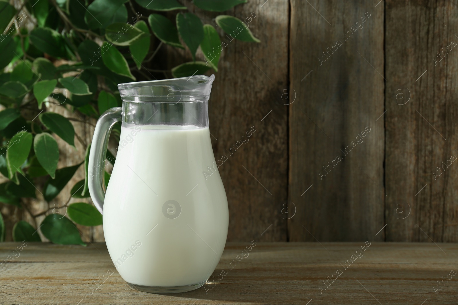 Photo of Jug of fresh milk on wooden table, space for text