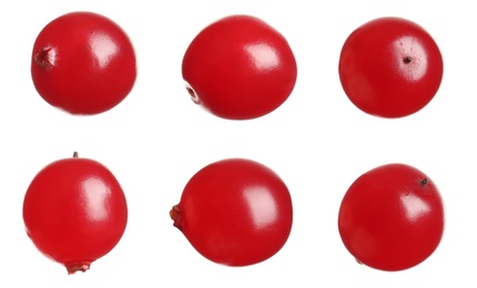 Image of Set of fresh ripe cranberries on white background, closeup view