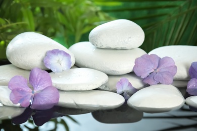 Zen stones and exotic flowers in water on blurred background